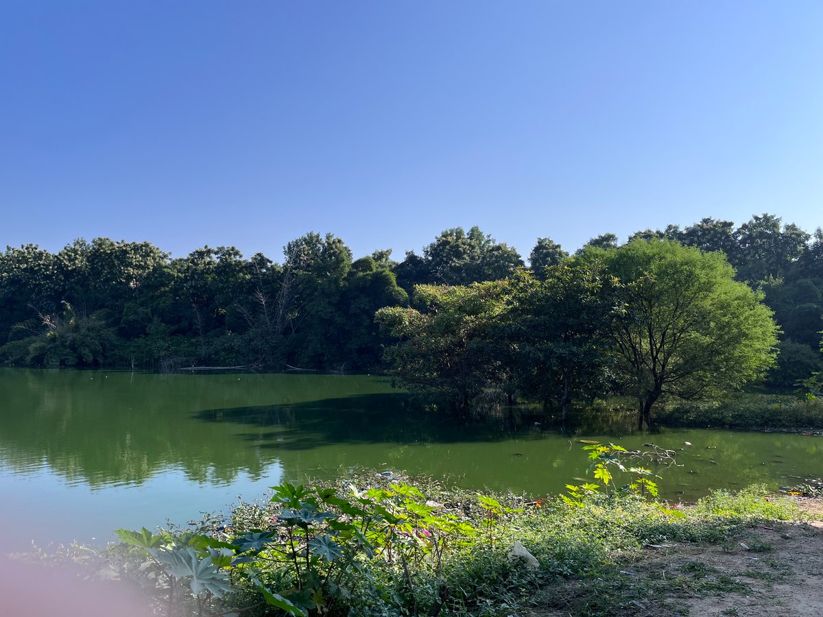 Varshith tweet media