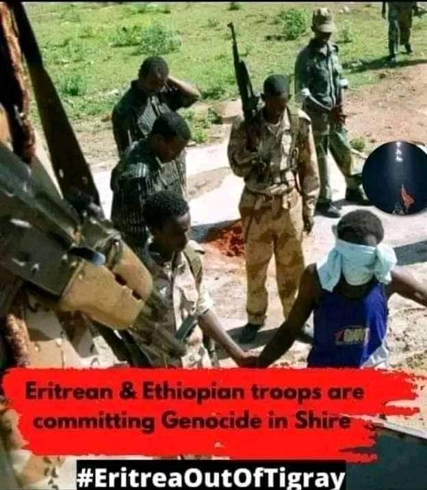 MellathM's tweet photo. #TigrayIsUnderAttack
#EndTigrayGenocide
#EretriatroopsoutOfTigray
#EthiopiaTroopsOutOfTigray
#PotusActNow
#UNHumanRightsActNow
#FreeTigray
Eritria brutal military and Ethiopia military, they make genocide in Shire, Axum, Adwa and Alamata. Killing the young men and rape girls https://t.co/TrI7ZG4lAI
