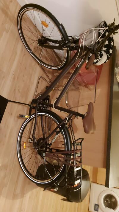 StolenBikeFeed's tweet photo. Stolen Bike: A BTwin - Hoprider 500 low frame  has been reported as stolen from Dundee, DD1 #bikestolen https://t.co/6FfCPzAnPx