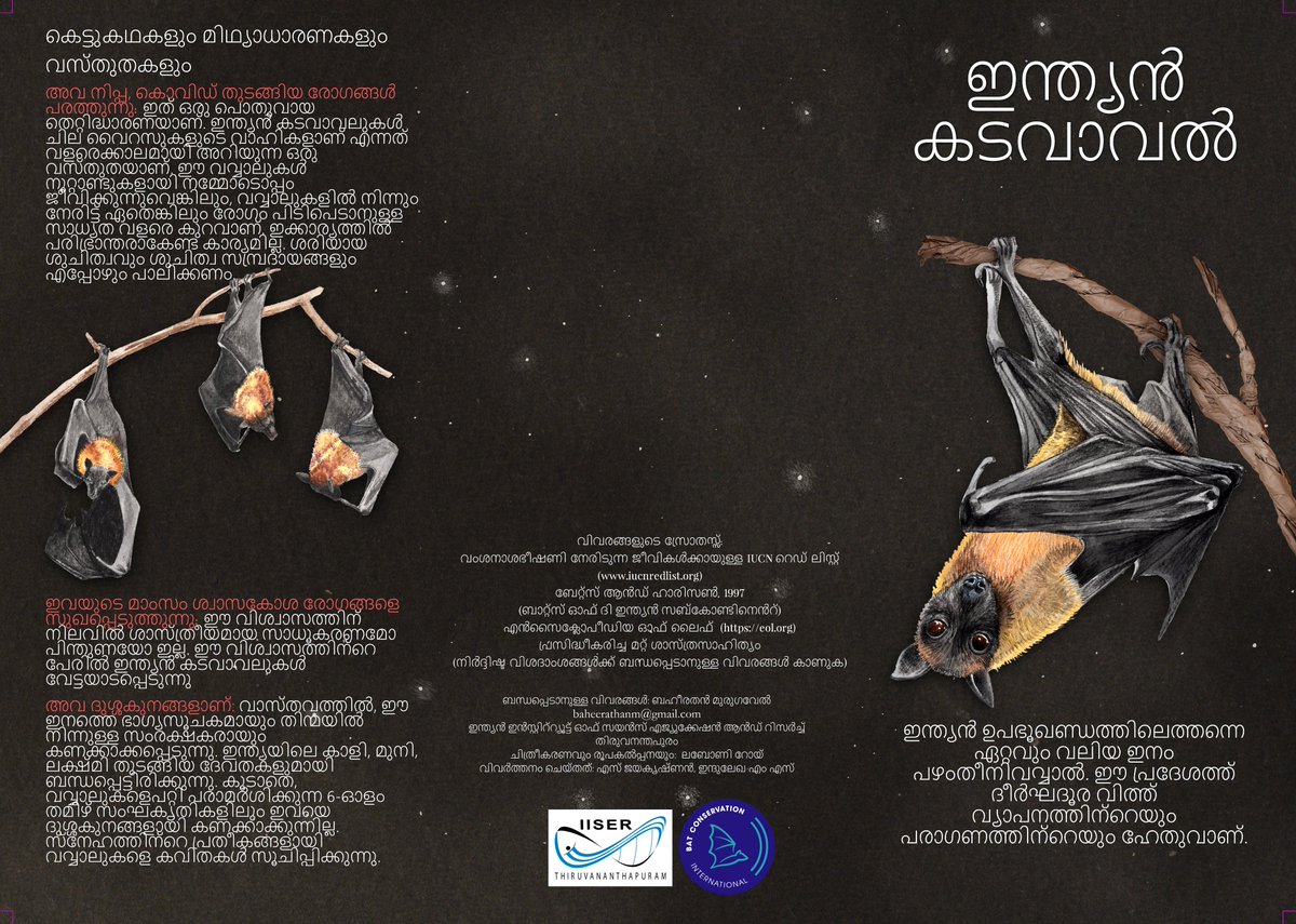 BaheerathanM's tweet photo. Translated content in Malayalam
ദക്ഷിണേന്ത്യയിലെ പഴ വവ്വാലുകൾ
ചിത്രീകരണവും രൂപകൽപ്പനയും: ലബോണി റോയി
വിവർത്തനം: @jks_jay & @indulekha_m_s
Proofreading help by @BEElab_iisertvm
#MalayalamSciComm
#InternationalBatWeek
#Fruit_bats_of_southern_India https://t.co/y2IRO7kYNt