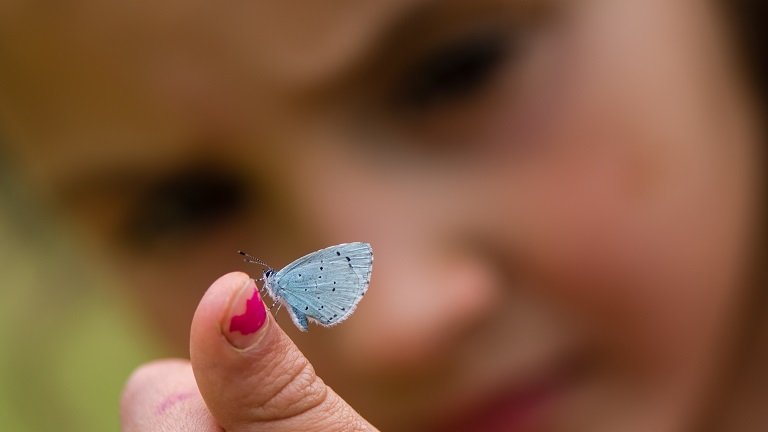 Harper Adams University (@harperadamsuni) on Twitter photo An international team of entomologists – including <a href="/simonsegar/">Simon Segar</a> from Harper Adams – have published a ‘battle plan’ paper. They want a greater focus on the role insects play in our ecosystems – and action to halt biodiversity loss.
Read more: harper.ac.uk/keystoneento An international team of entomologists – including <a href="/simonsegar/">Simon Segar</a> from Harper Adams – have published a ‘battle plan’ paper. They want a greater focus on the role insects play in our ecosystems – and action to halt biodiversity loss.
Read more: harper.ac.uk/keystoneento