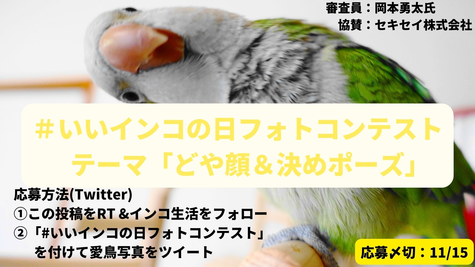 インコ生活 (@inkolife) / X