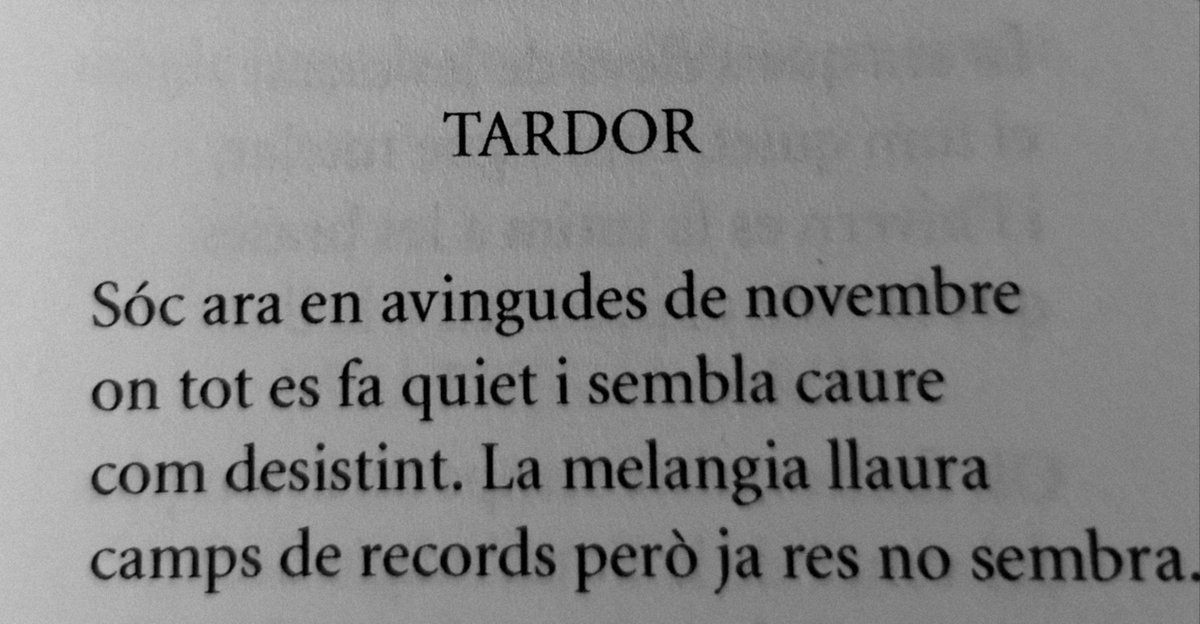 Sempre retrobarem les hores que ara són record, ens ajuda Joan Vinyoli en aquesta primera estrofa.
<a href="/reduccions/">reduccions. revista de poesia</a>
<a href="/joan_vinyoli/">Joan Vinyoli</a>
<a href="/xavimurcia/">Xavi Múrcia</a>