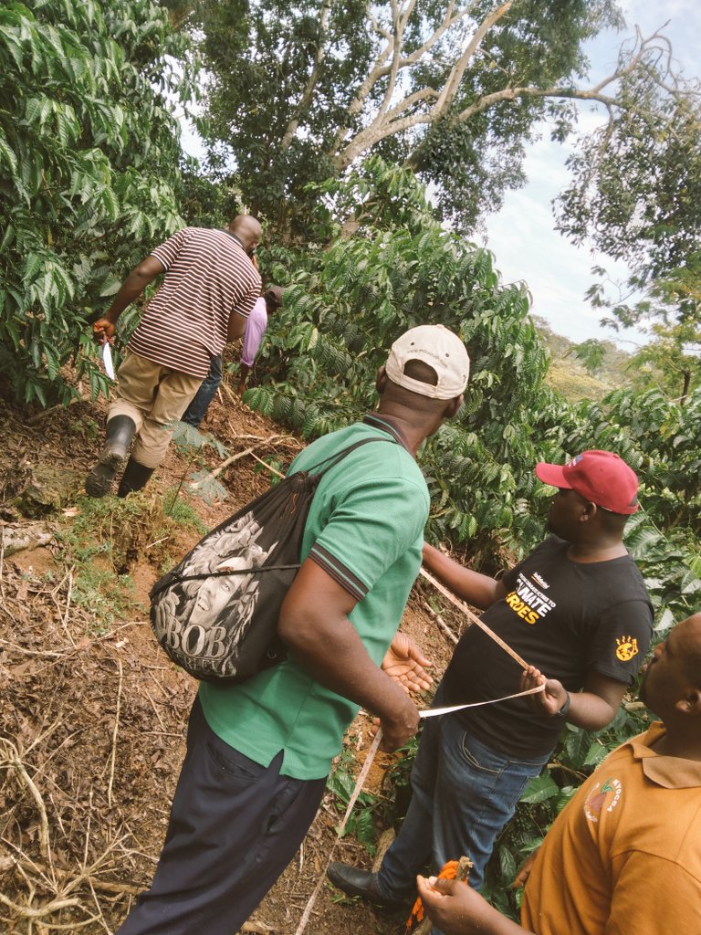 Happening now.
Day two of the Biomass specialists and Enumerators' training in Central Uganda (5 teams of 2 personeal) in Masaka and Kalungu Districts.
@SolidaridadECA @RTurakira @fellacan @ChepkwemboiJ