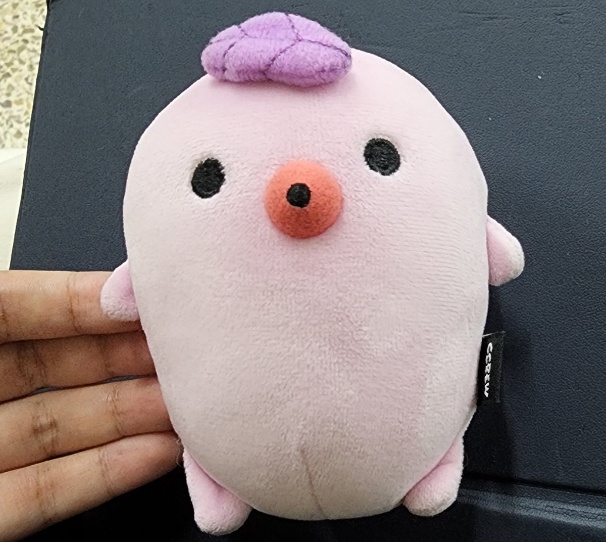 #rt 20:37분에 용산역에 도착하는 무궁화호1564번 기차에서 3호선과 5호선 사이 통로 계단 옆쪽에 인형 발견하신 분 연락부탁합니다... #다콩이 #고구마떡 #크크루 #크래비티