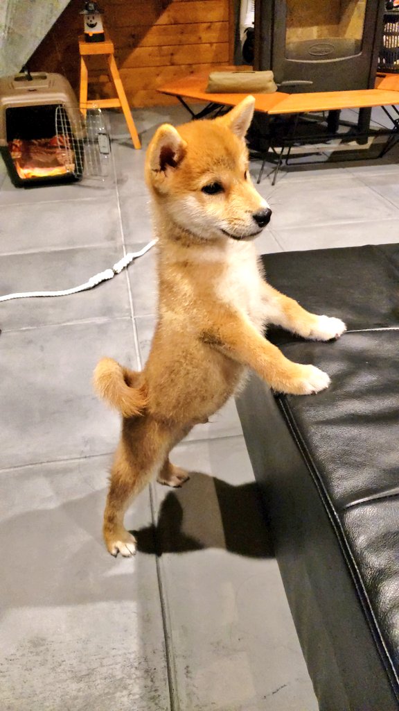 かぶこ Miyama Kw Twitter かぶこ Miyama Kw Twitter