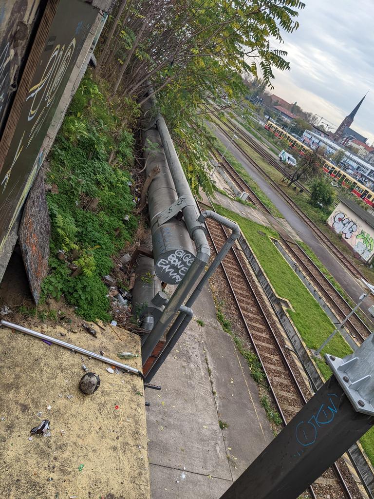 The Rustic Crust tweet media