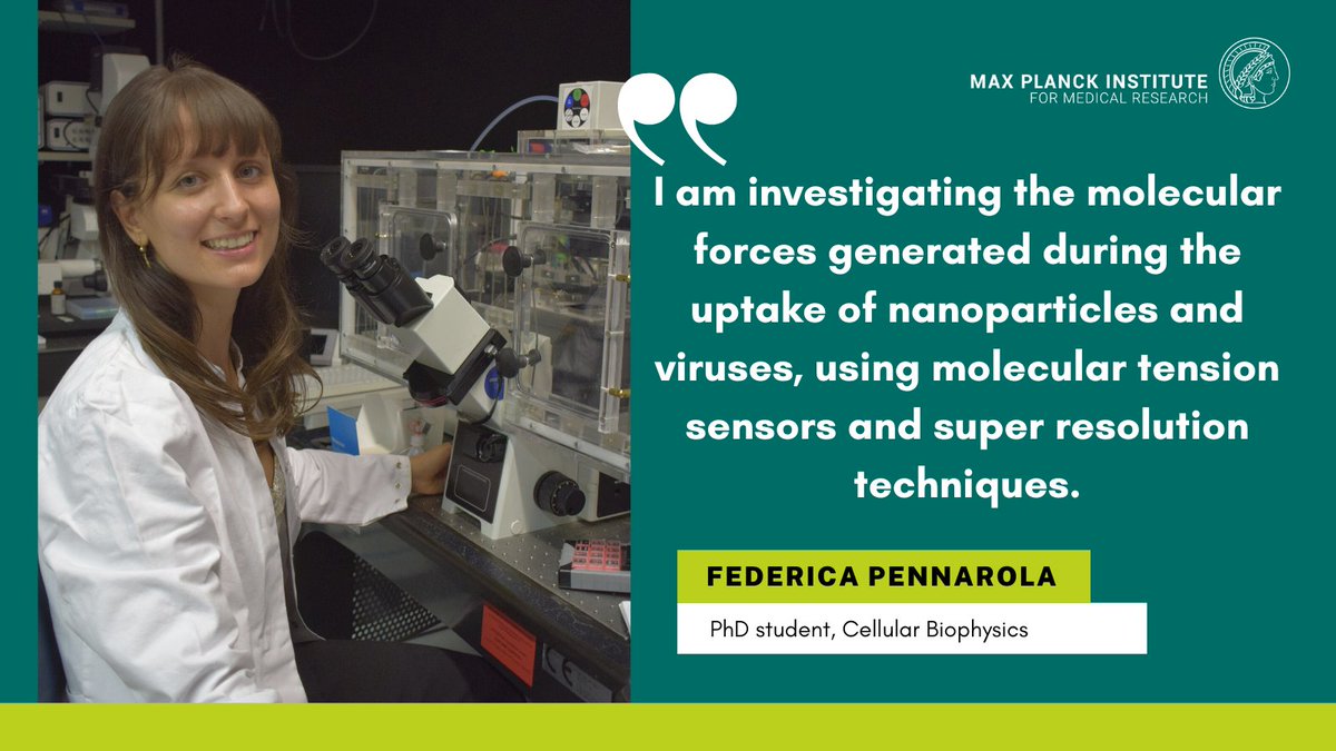 🔬🧪Next up in our #MPIMRSpotlight series is @PennarolaFede PhD student in our Cellular Biophysics department with @CavalcantiAda.