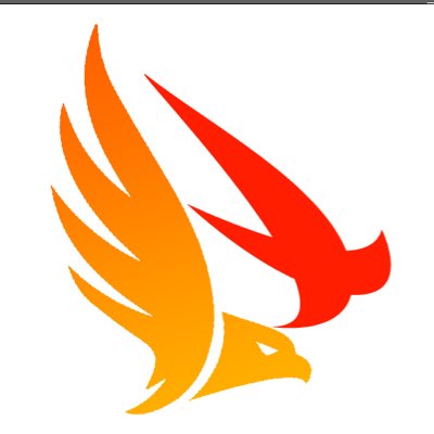 Austral_plane's tweet photo. #NewProfilePic On prend notre logo officiel comme photo de profile ! https://t.co/3tyGQeHffl