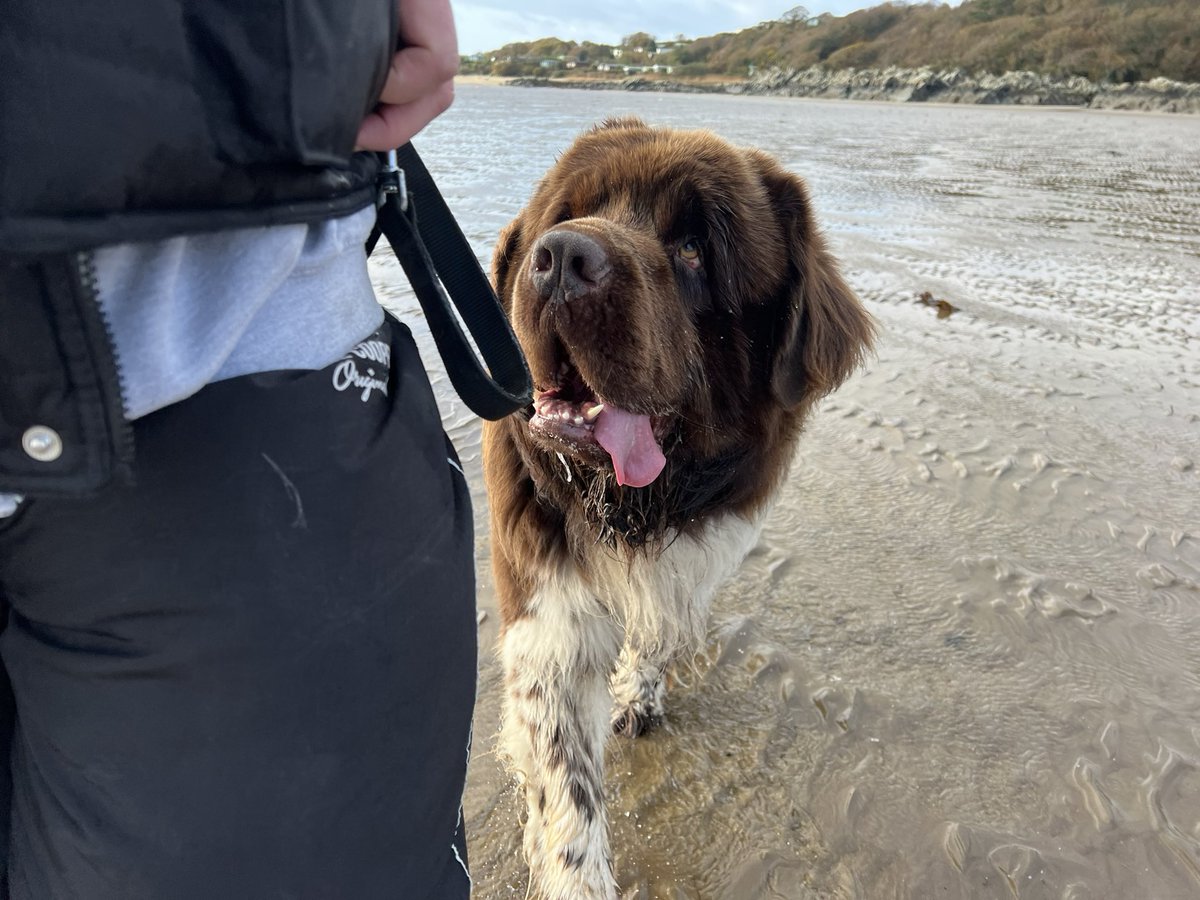dtbarron's tweet photo. 2k behind, 3 - 4k in front, sunshine and wind, empty beach, before we need to turn round and head back #fleetbay #keepactive #walking #newfie #newfoundland #selfcare https://t.co/4S78TxoiQf
