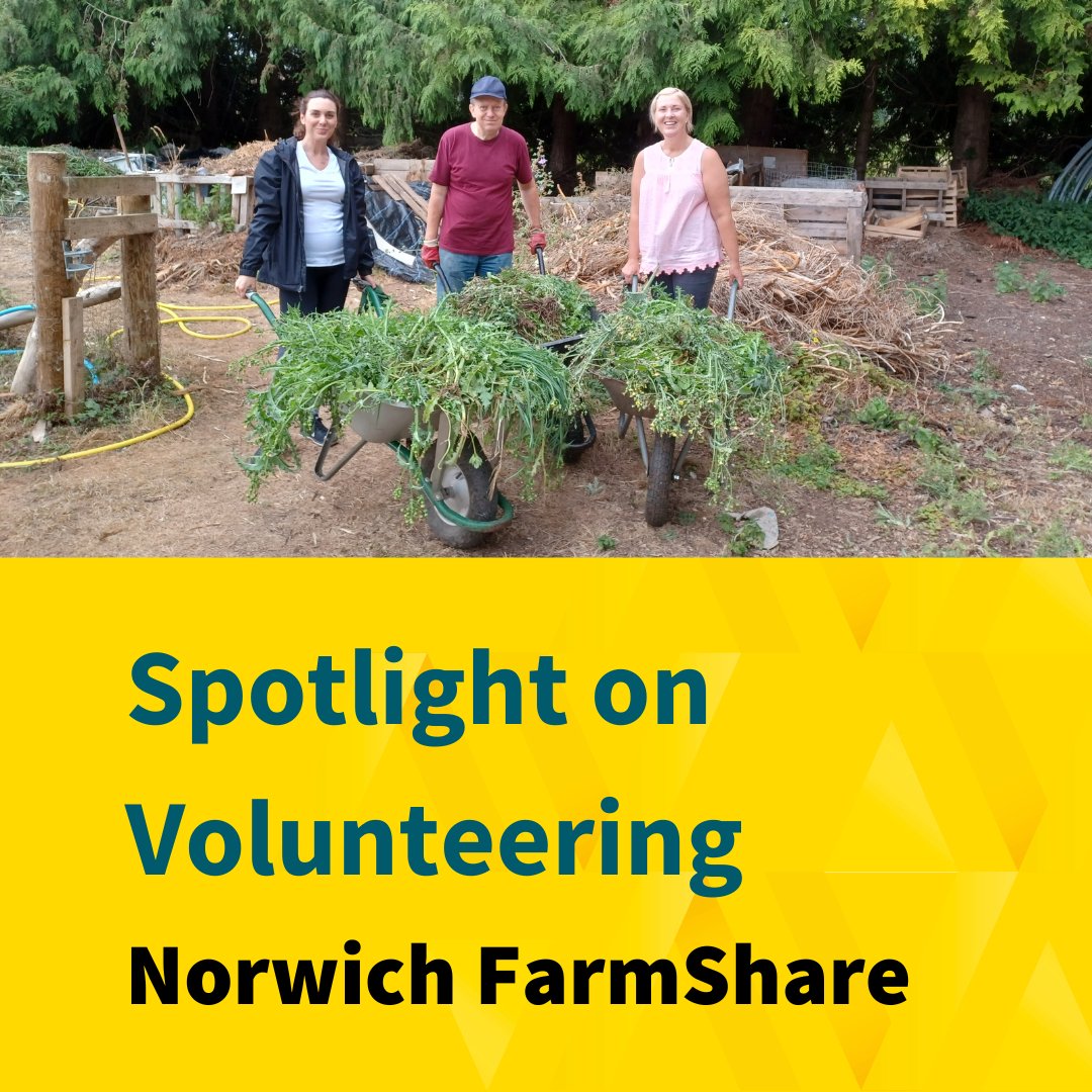 avivaplc's tweet photo. Our lovely colleagues Donna, Leila and Alan spent the day volunteering at the Norwich FarmShare, by weeding and preparing the vegetable beds for planting.

FarmShare contributes to a diverse and resilient local economy by producing food for the local community.

Well done team! https://t.co/v6frcY5d87