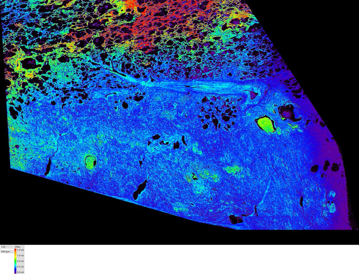 PhD opportunities @theFosterlab for 2023 entry: 1) biomineralisation in deep sea corals, 2) microplastics and corals, 3) Phytoplankton ionomics, 4) Imaging the metallome in cells. Full deets here (tinyurl.com/3eff2bav). Please spread the word!