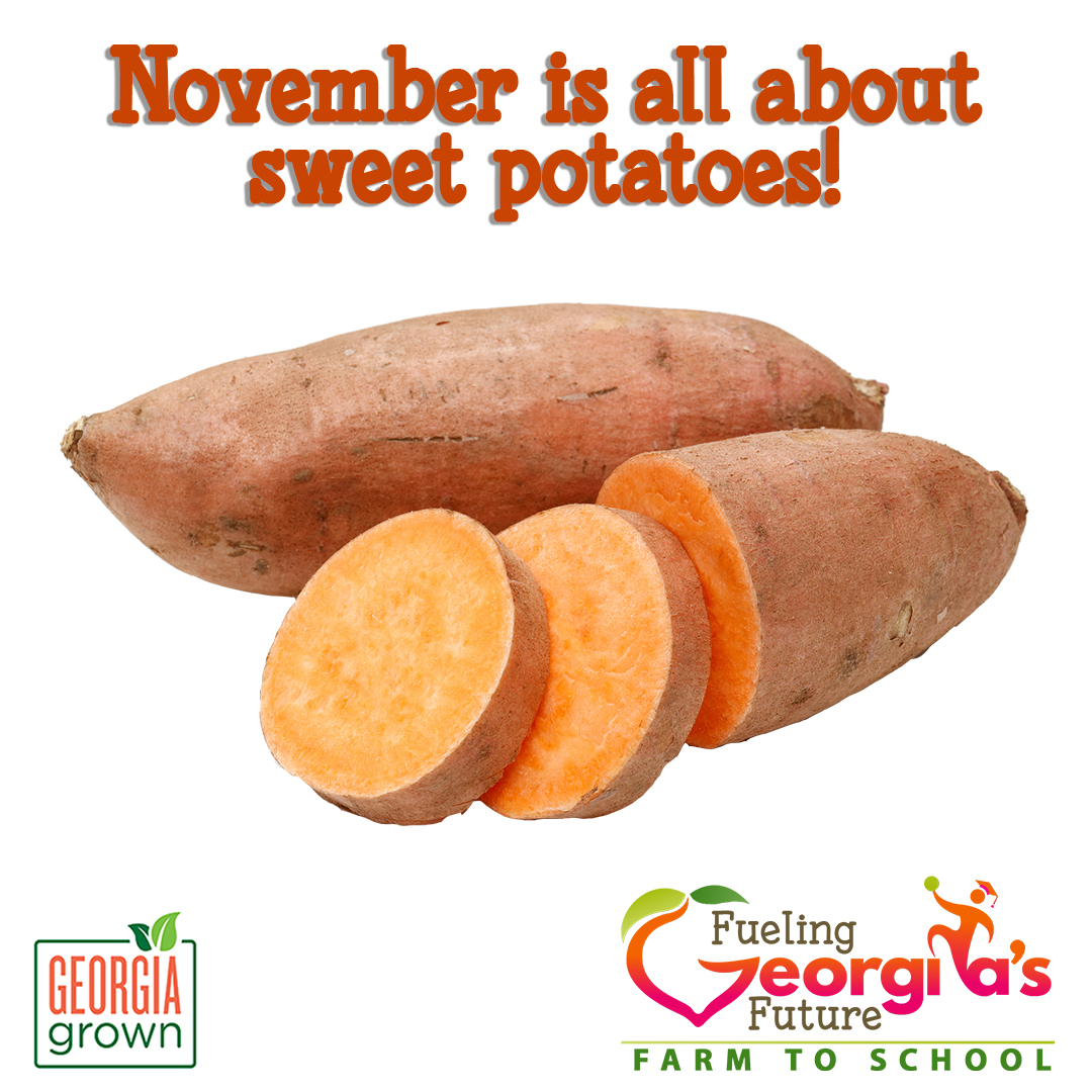 The Georgia Harvest of the Month item for November is sweet potatoes. 

Visit bit.ly/GaHOTM  for resources for celebrating #HarvestoftheMonth and growing your #FarmToSchool program. While there check out our #FoodBasedLearning Lessons too!

#FuelingGA #GeorgiaGrown