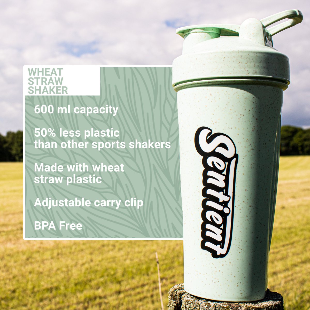 LiveSentient's tweet image. 😂🌿This one's for Theresa... We ran through fields of Wheat for these!

livesentient.com/collections/sh…

#vegan #veganfitness #veganworkout