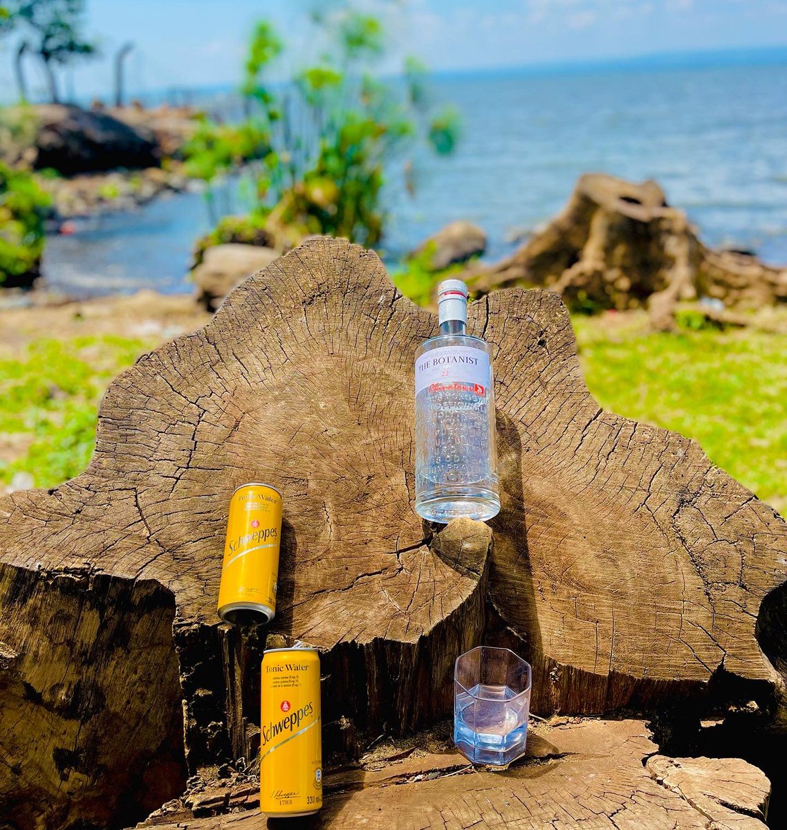nyambareMPH's tweet photo. Premium views, Premium Gin and a Premium Mixer in @schweppes! You can never go wrong with #Schweppes. 

#TasteIsTimeless 

Happy New Week!!! https://t.co/A69CWJBn6H