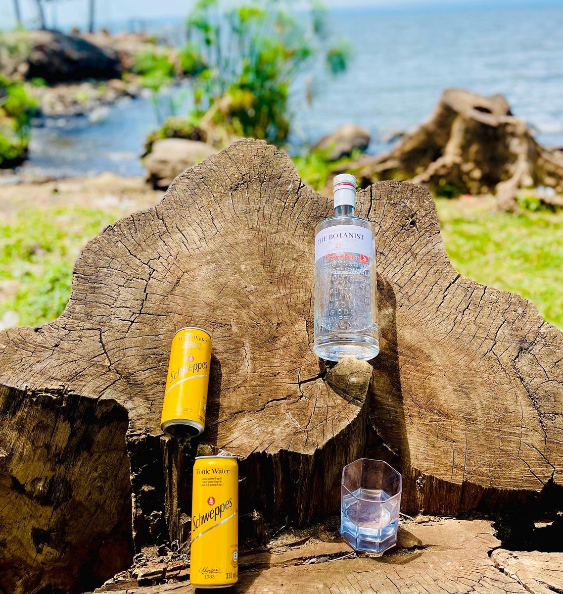 nyambareMPH's tweet photo. Premium views, Premium Gin and a Premium Mixer in @schweppes! You can never go wrong with #Schweppes. 

#TasteIsTimeless 

Happy New Week!!! https://t.co/A69CWJBn6H