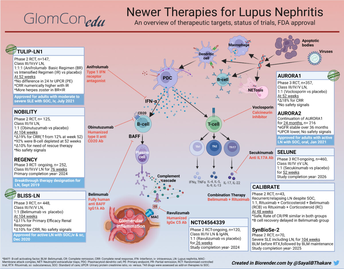 Pankti Mehta (@panktimehta24) on Twitter photo 📝A great compilation of newer treatment options for #Lupus Nephritis by a senior and friend! <a href="/SayaliBThakare/">Sayali Thakare</a>
#SLE #RheumTwitter #MedTwitter #MedEd
pubs.glomcon.org/lupus-nephriti… 📝A great compilation of newer treatment options for #Lupus Nephritis by a senior and friend! <a href="/SayaliBThakare/">Sayali Thakare</a>
#SLE #RheumTwitter #MedTwitter #MedEd
pubs.glomcon.org/lupus-nephriti…