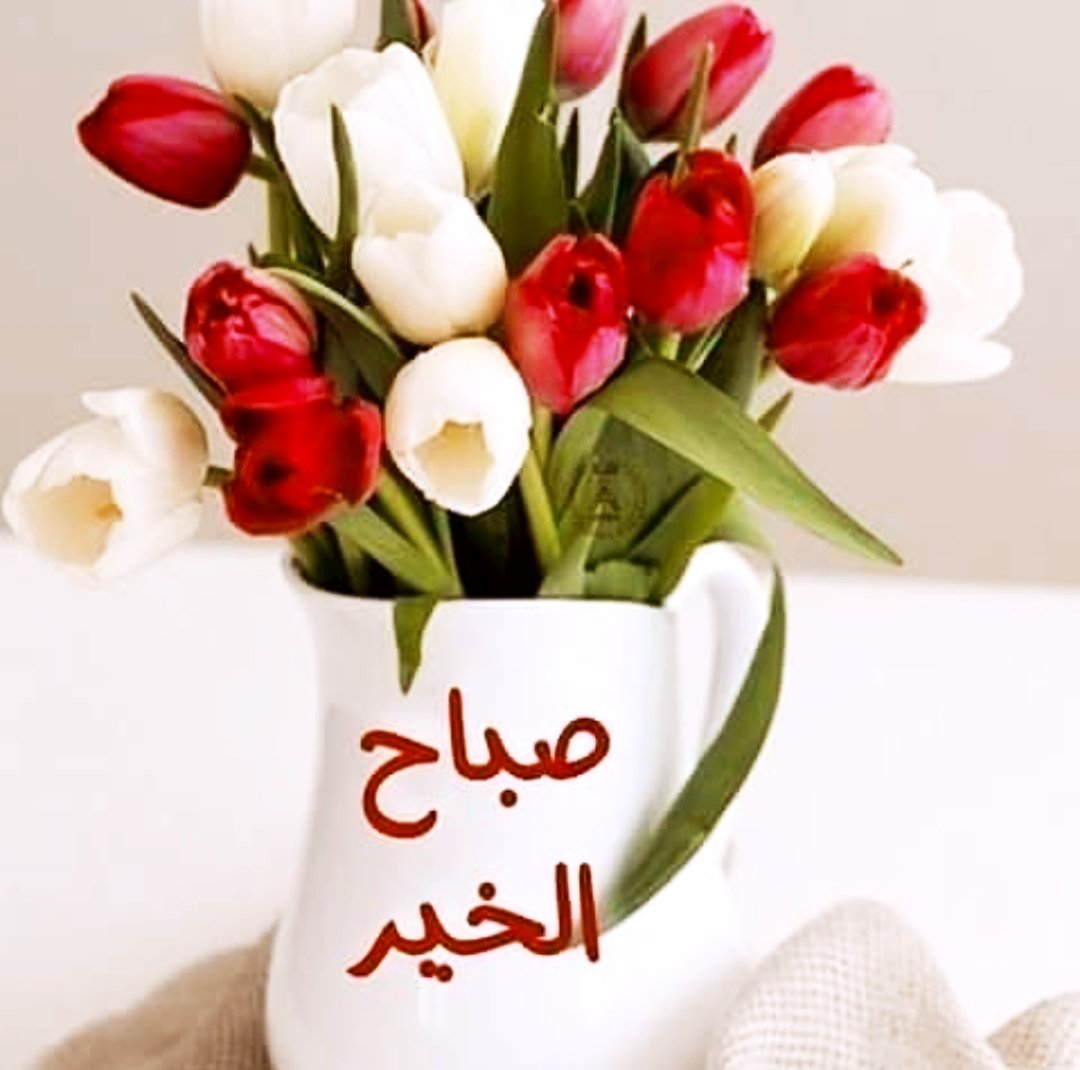 أسماء سعيد tweet media