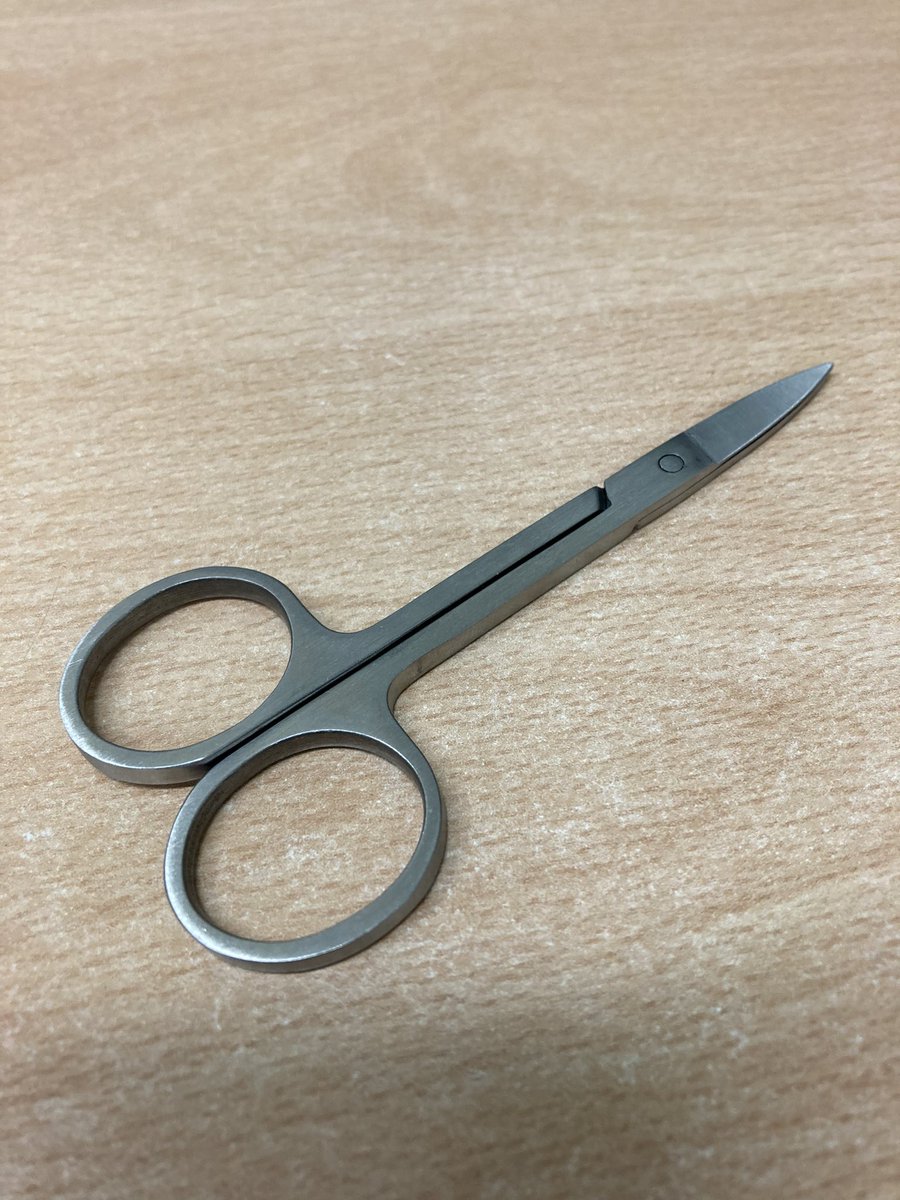 Sandy Thomson tweet media