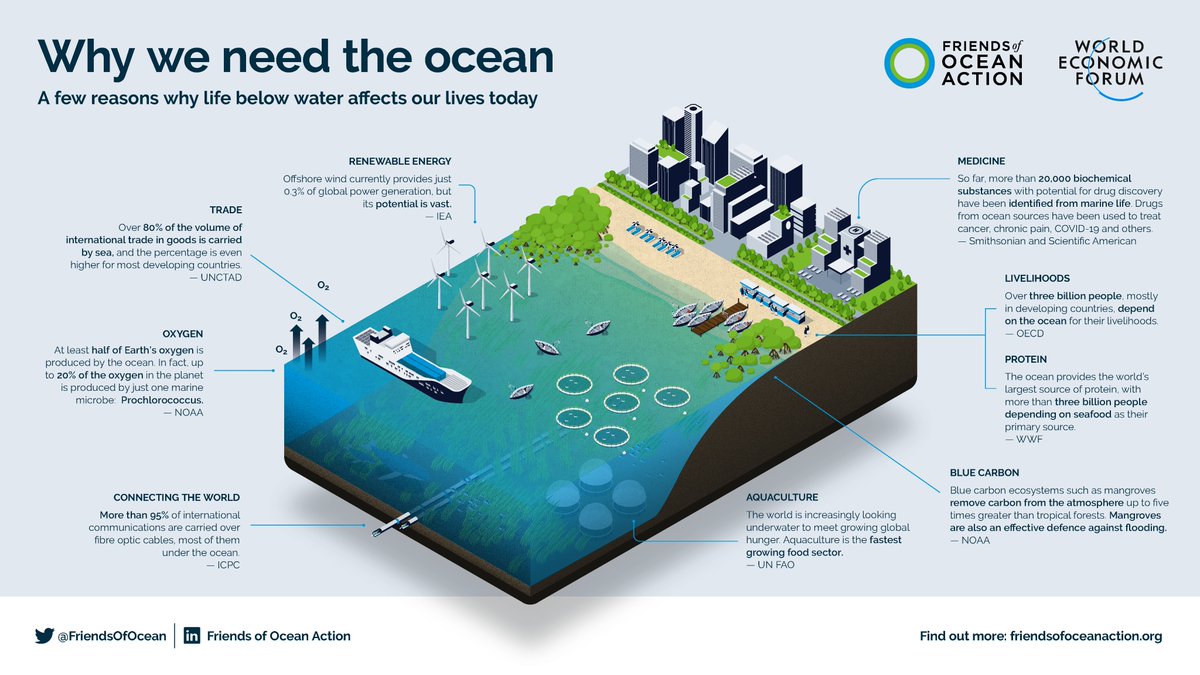 Why looking after the #ocean is not just a job for islanders & why global leaders must join the #BlueThread of #OceanAction: read more in new @wef Agenda blog post by Rayne Sullivan, @SOAlliance #Youth Policy Advisory Council co-chair ☀️🏝️🌊 weforum.org/agenda/2022/10… #COP27 #SDG14+