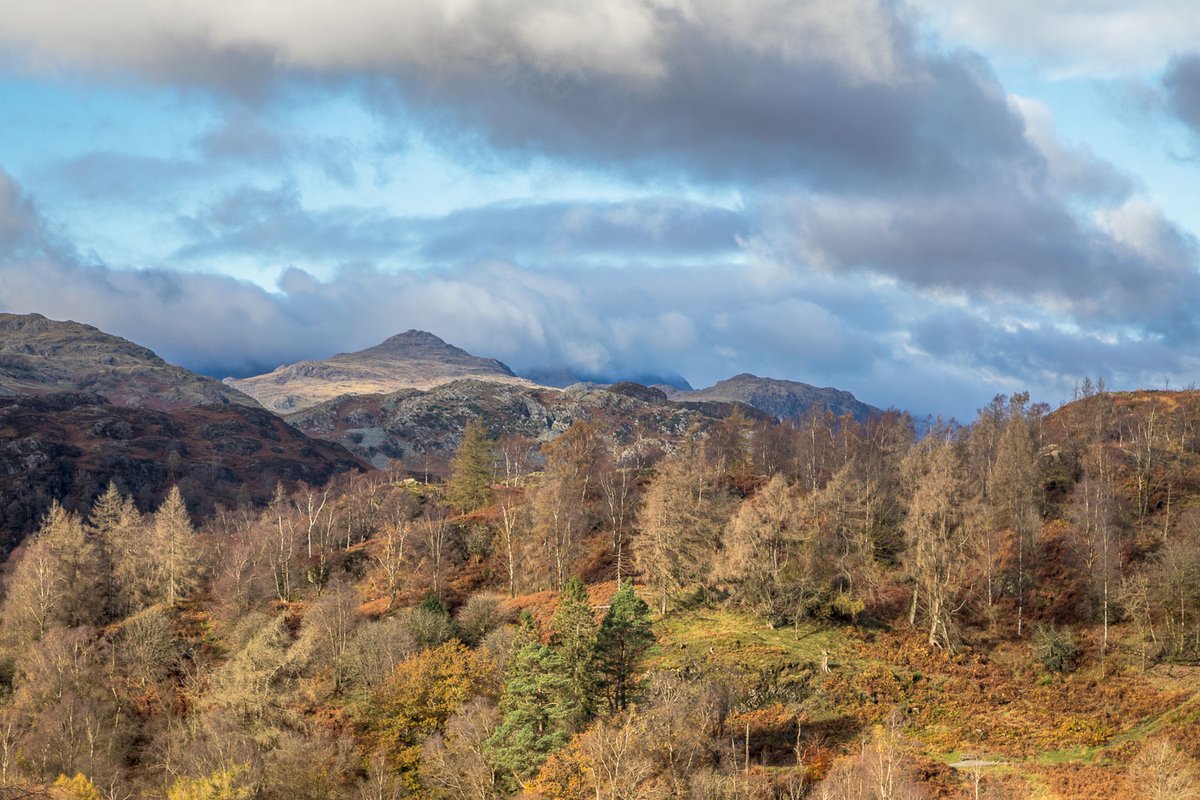 Tarn Hows this time last year andrewswalks.co.uk/tarn-hows-7.ht…