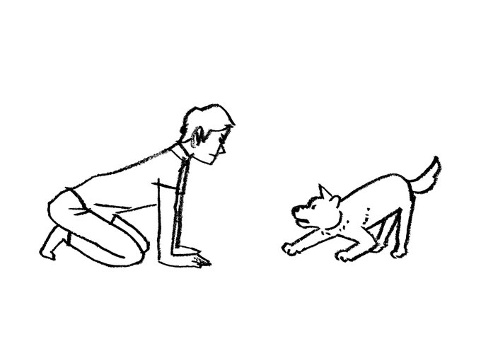 今日は #犬の日 