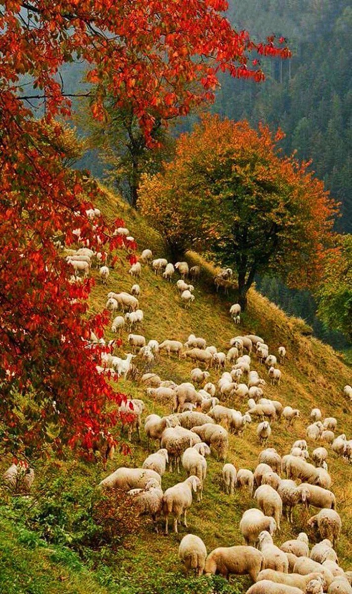 November, the last month of Autumn, but the beginning of new adventures. 

May your November be full of blessings! ♥️