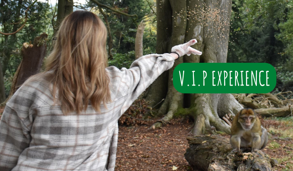 Monkey_Forest's tweet photo. Keep your eyes peeled like a banana for a special announcement tomorrow... π ππ
#VIPExperiences #BreakfastWithMonkeys https://t.co/EGt5XtSVQ2