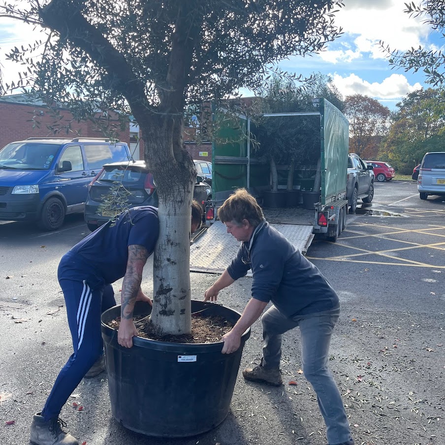 Villaggio Verde tweet media