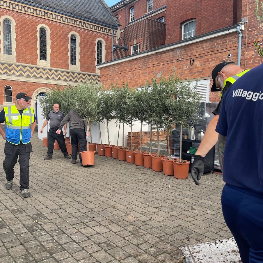 Villaggio Verde tweet media