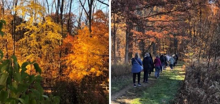 #PCUSAbingewatch tweet media