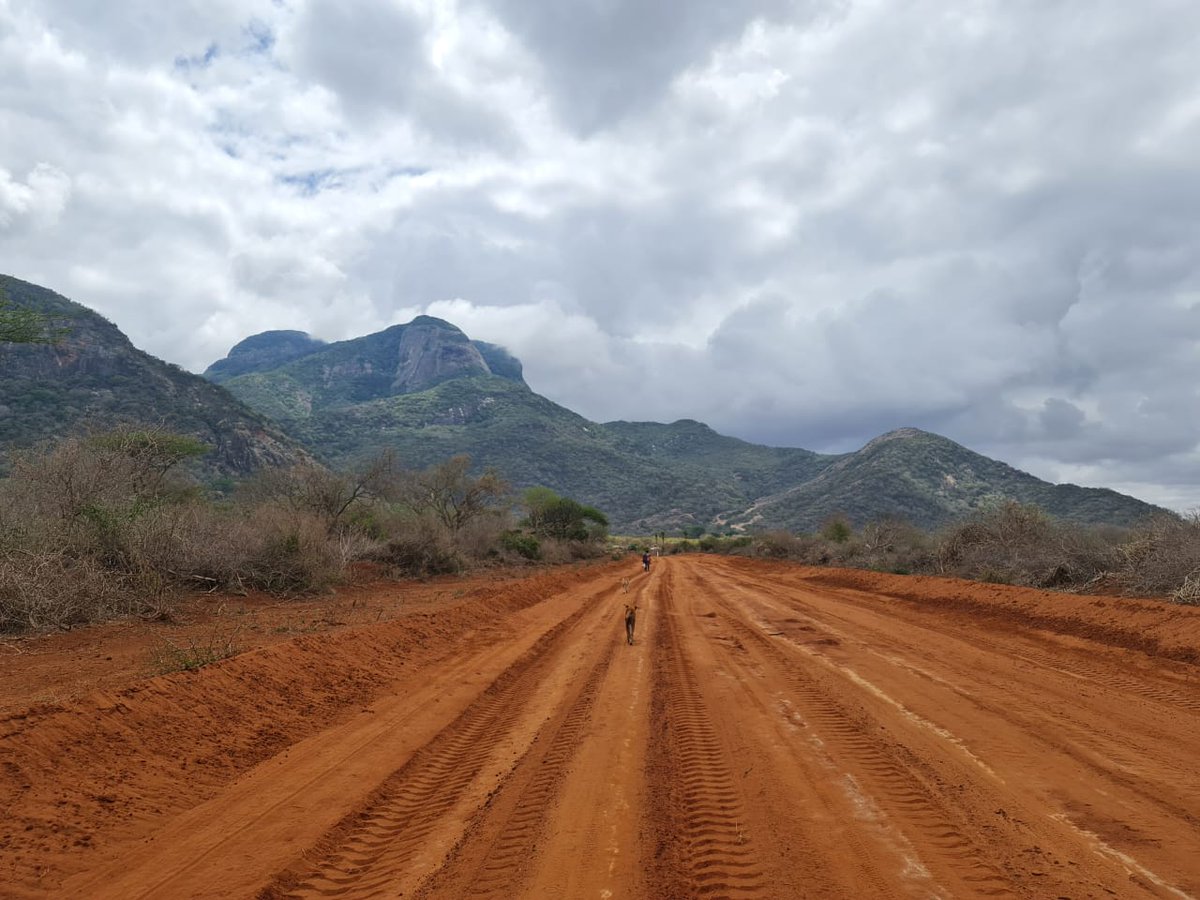 charlruto's tweet photo. Drought has ravished various parts of Kenya and it is high time we rallied towards green initiatives that will propel the attainment of these global goals. Climate action now births the journey towards sustainable environments. https://t.co/Nuqi0BYqAT