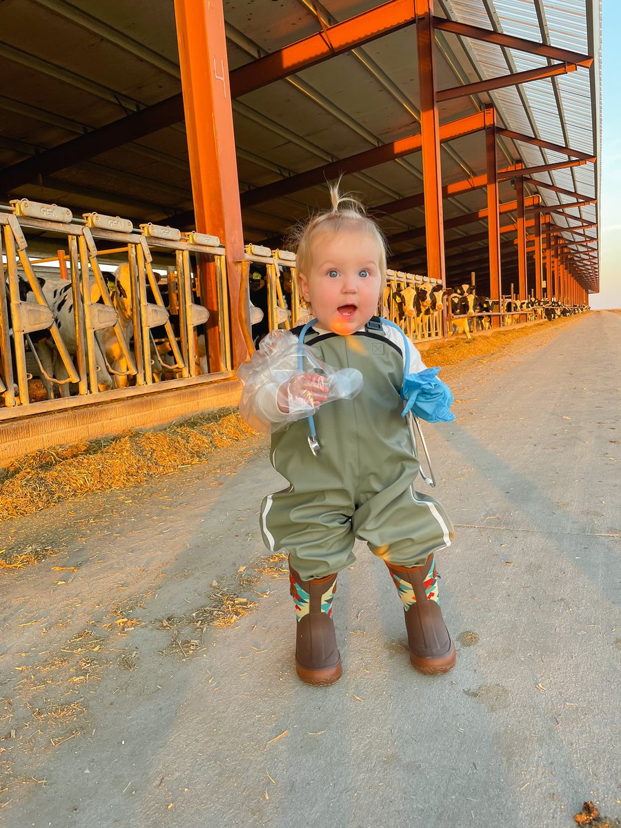 Allie Wise tweet media