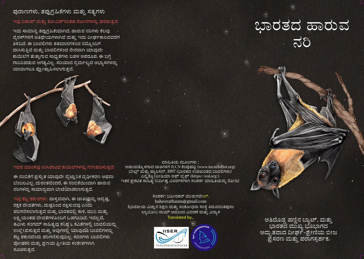 BaheerathanM's tweet photo. Translated content in Kannada
ದಕ್ಷಿಣ ಭಾರತದ ಹಣ್ಣಿನ ಬಾವಲಿಗಳು
ಲ್ಯಾಬೋನಿ ರಾಯ್ ಅವರಿಂದ ವಿವರಣೆ ಮತ್ತು ವಿನ್ಯಾಸ
ಅನುವಾದ: @tejasvi_kv
#KannadaSciComm
#InternationalBatWeek
#Fruit_bats_of_southern_India https://t.co/IfTRm9Y2Md