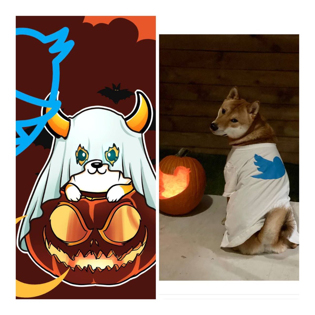 SpookyFloki tweet media