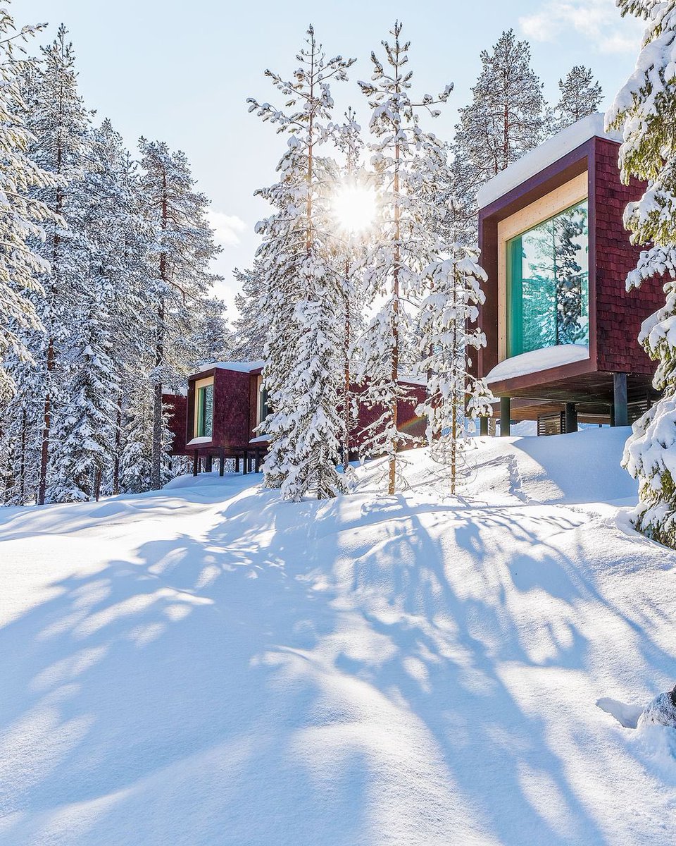 Earthbased.soul tweet media