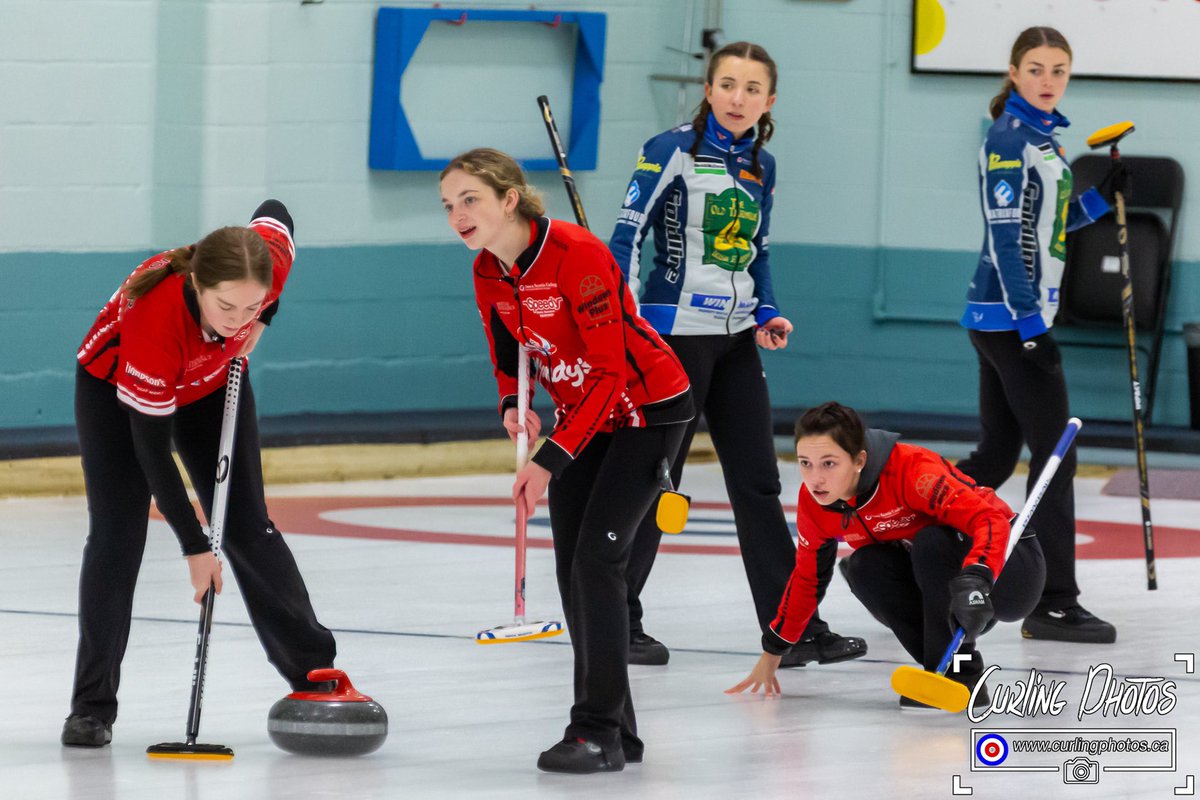 CurlingPhotos tweet media