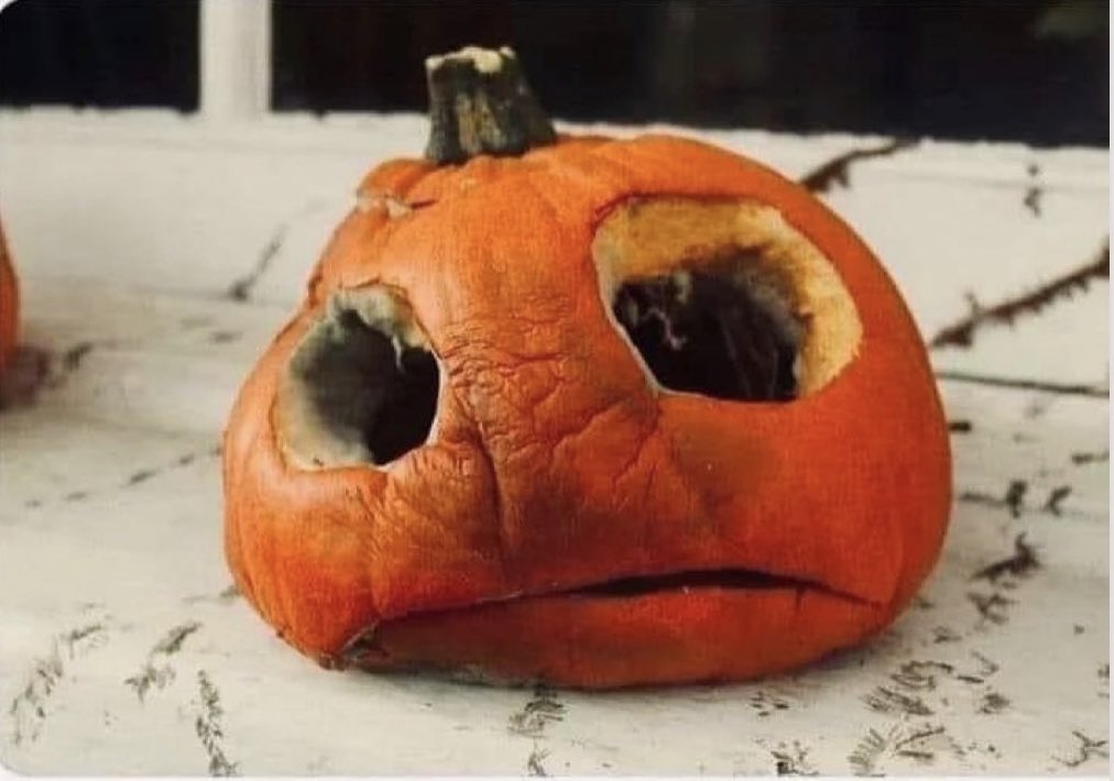 MonicaCarrillo's tweet photo. 1 de noviembre. https://t.co/Ig6coPJbLj