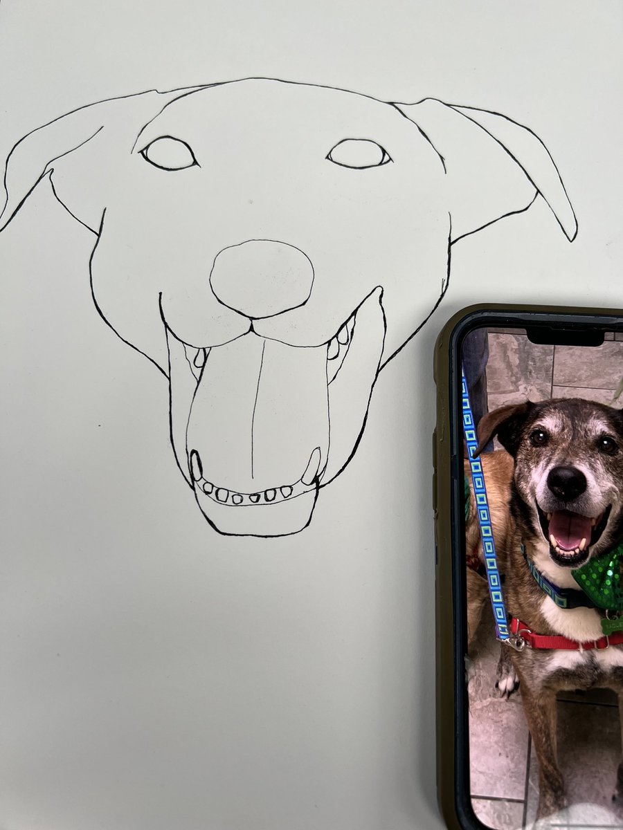 Sadler died yesterday morning from cancer. Even tho not a Fuzzybutt of mine, I loved him like my own boy since the day he was rescued and I couldn’t be with him his final days. This walk has taken a toll that cannot be requited…