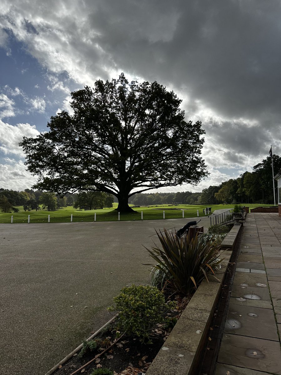 Iain Burns tweet media