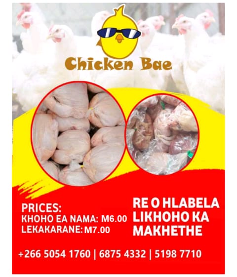 BusinessWorldLS's tweet image. U hloka hohlabeloa likhoho tsa nama le makakarane? Chicken Bae    e teng ho u thusa ka makhethe. Khoho ea nama ke M6 lekakarane M7. 50541760/68754332/ 51987710
Ba fumaneha lekhalaneng

#basothopele
#fightingpoverty