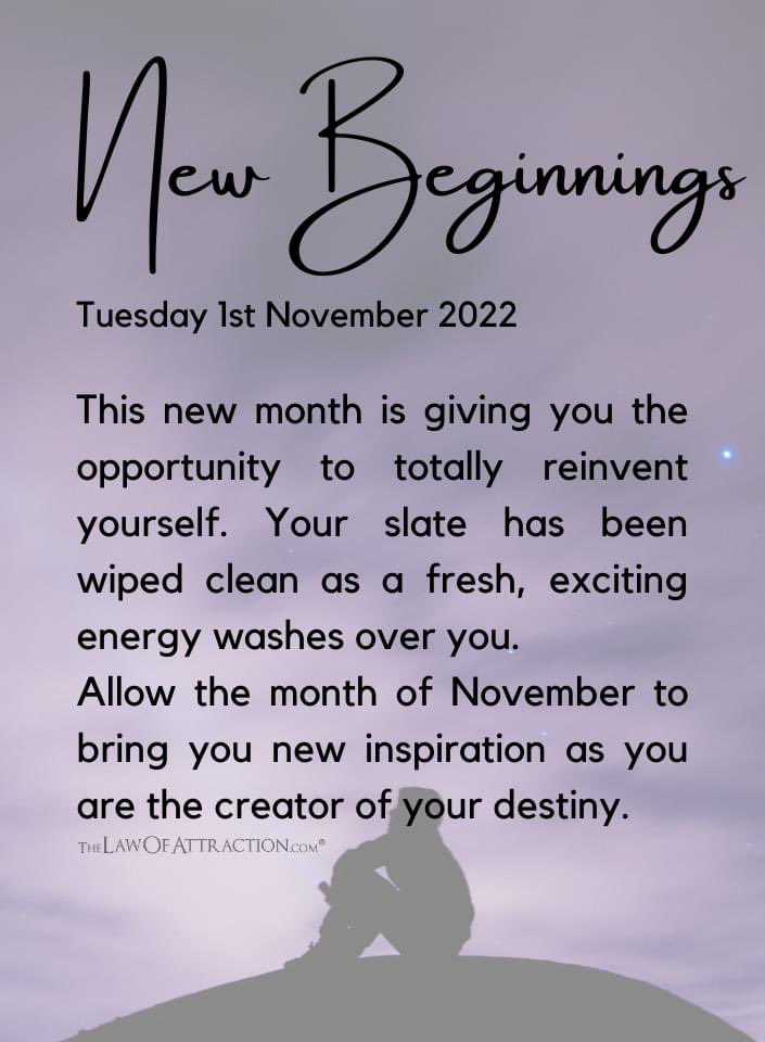 ✨ Sonia Rodriguez Thorn ✨ (@srthorn1025) on Twitter photo 