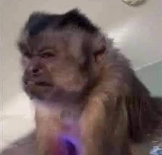 Buen día, no quiero a ningún liceista azarando desde temprano