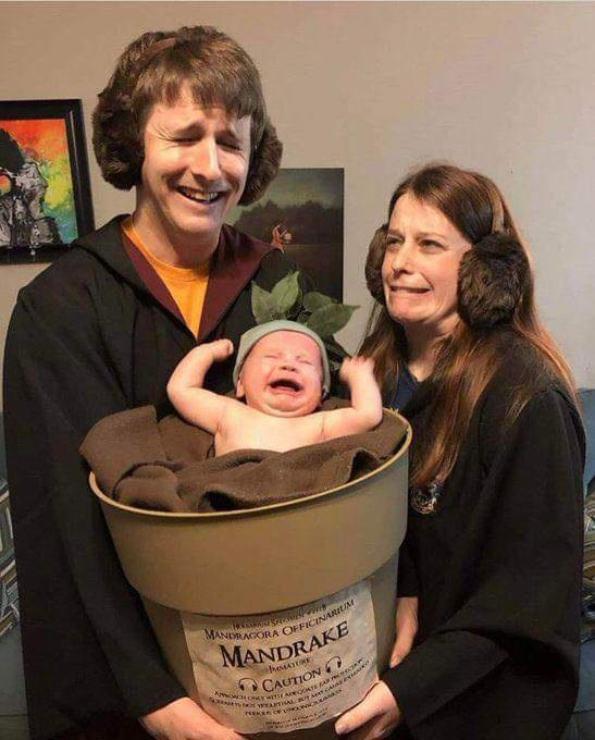 ladbible's tweet photo. One of the best Halloween costumes we've seen 😂😂 https://t.co/Y5lXb8b09h