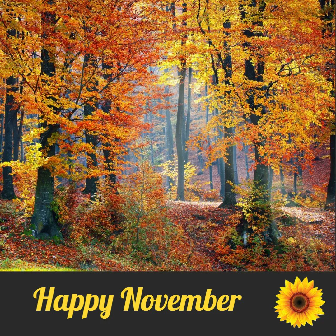 Happy #November! 🍁🍄🌰
Now that Halloween is out of the way, it feels like #Christmas is just around the corner - even though we've been planning festive events since May!
If you need any help with your Christmas #events, do get in touch with us.
#SunflowerEventTeam #parties 🌻