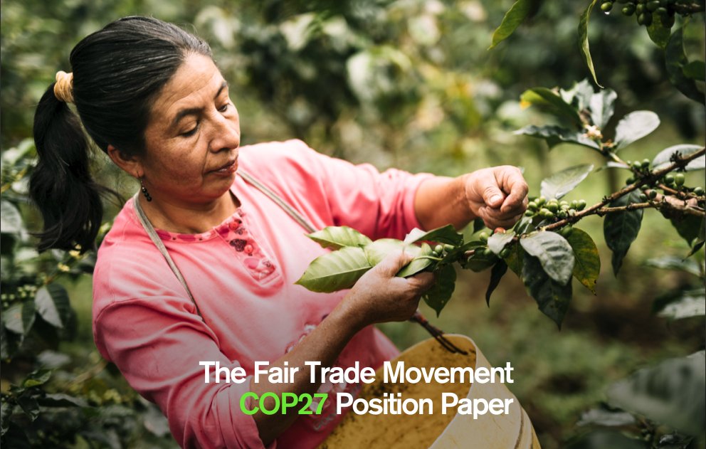 #COP27 is about to start.

Among non-state actors, environmental defenders will be largely outnumbered by corporate representatives. The #FairTrade movement will side with them, asking for a just and fair transition! 📢

Read our position paper at wfto.com/article/clock-…