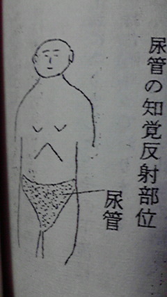 いい刑天腹 