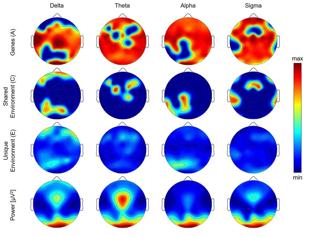 Excited to share our new paper in <a href="/Transl_Psych/">TranslationalPsychiatry</a> exploring the heritability of REM sleep! Always a pleasure to work with <a href="/MarkovicA/">Andjela Markovic</a> rdcu.be/cYISR