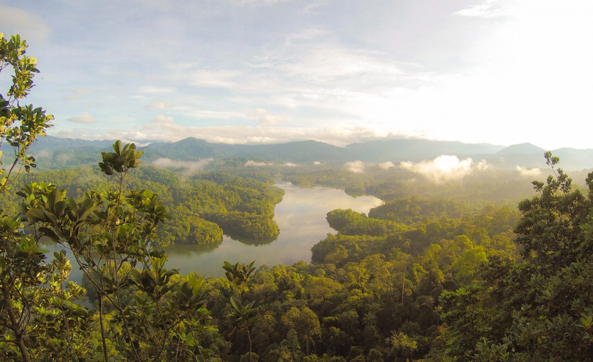 tourismelisten's tweet photo. 🔴📢Important 📢🔴
Le ministère du tourisme et de l'artisanat Lustenbougois vous annonce aujourd'hui que l'UNESCO a admis le parc national du Rutenford aux patrimoine mondial humanitaire. https://t.co/Gb60Bm3yyQ