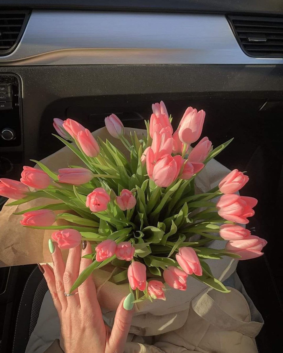 prettiestavenue's tweet photo. tulips https://t.co/xt4vg81AeA